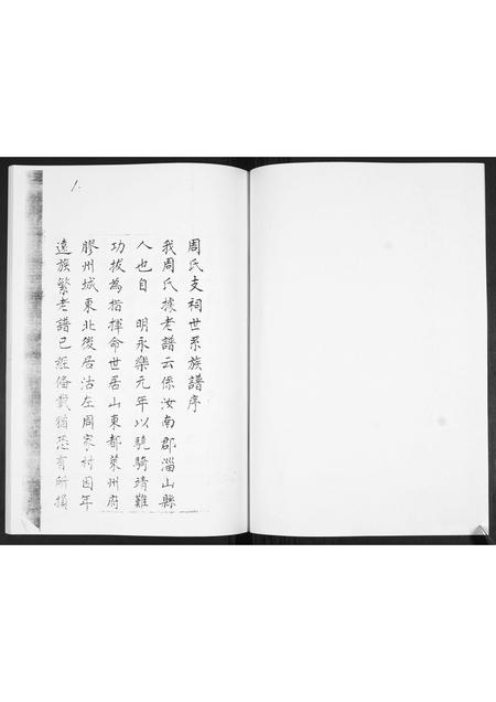 山东周氏-周氏族谱[不分卷].pdf电子版插图2