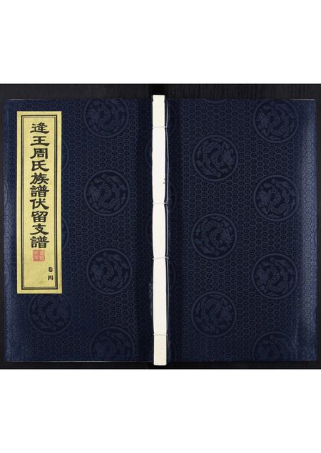 山东周氏-逄王周氏族谱伏留支谱[4卷].pdf电子版插图