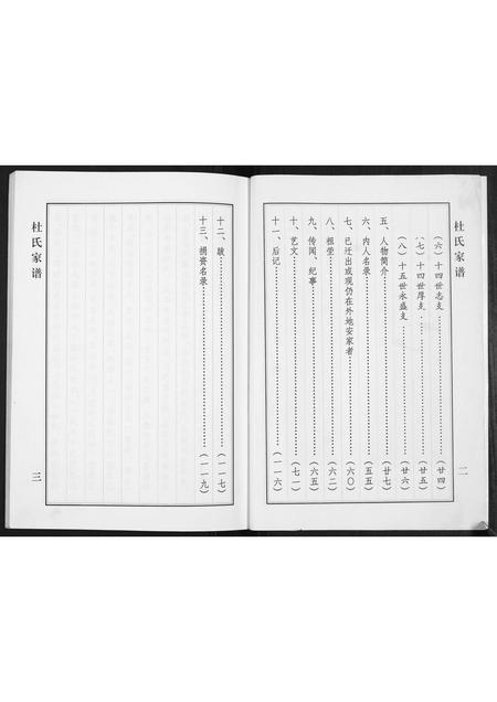 山西杜氏-杜氏家谱.pdf电子版插图4