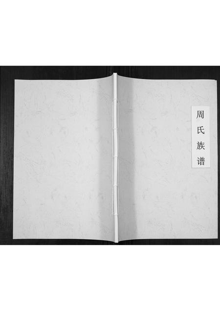 河北周氏-周氏族谱[不分卷].pdf电子版插图