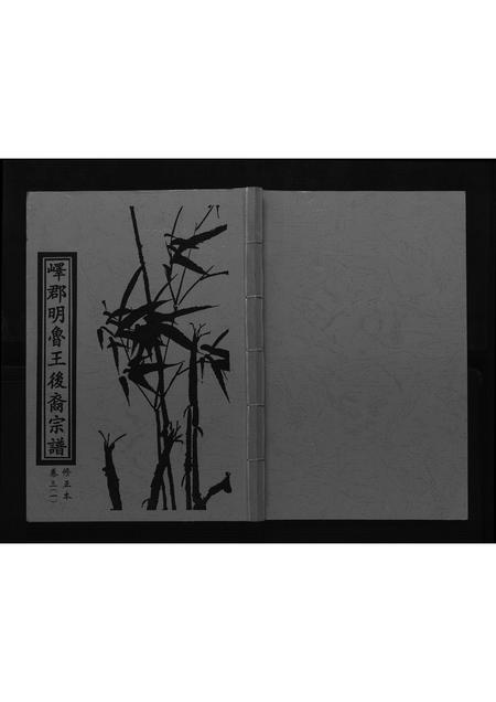 山东朱氏-朱氏宗谱[4卷首1卷].pdf电子版插图