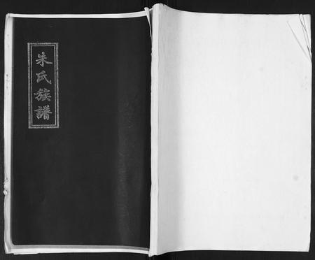山东朱氏-朱氏族谱.pdf电子版插图