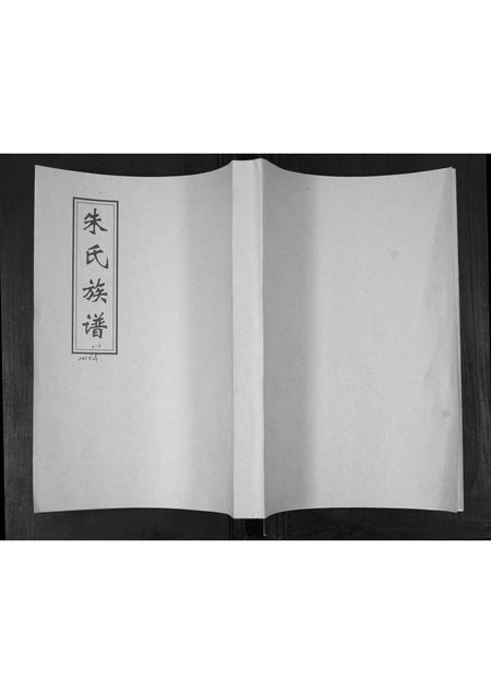 山东朱氏-朱氏族谱.pdf电子版插图