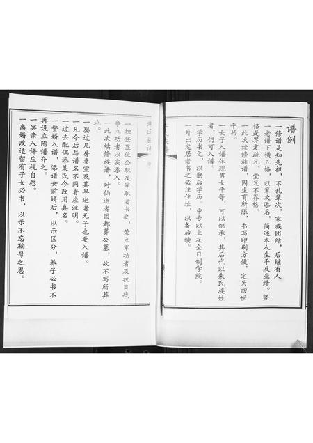 山东朱氏-朱氏族谱[2卷].pdf电子版插图3