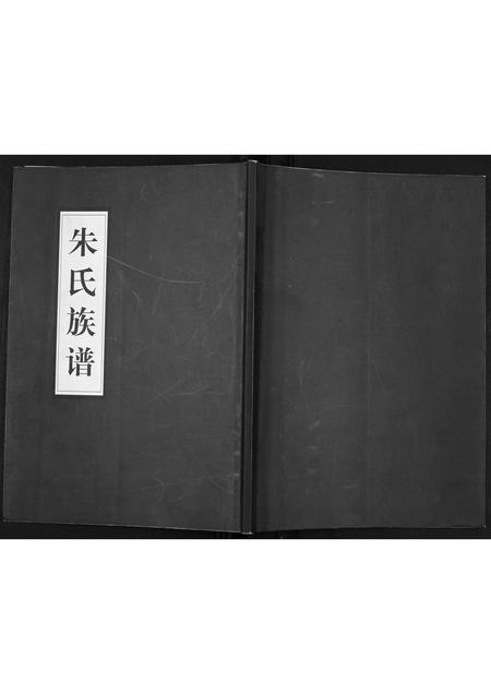 山东朱氏-朱氏族谱[不分卷].pdf电子版插图