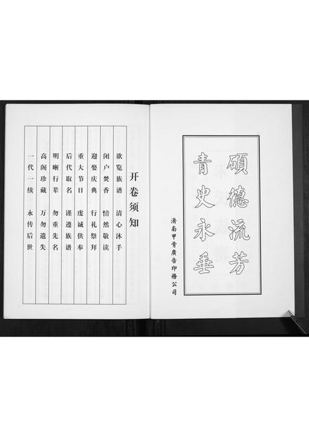 山东朱氏-朱氏族谱[不分卷].pdf电子版插图2