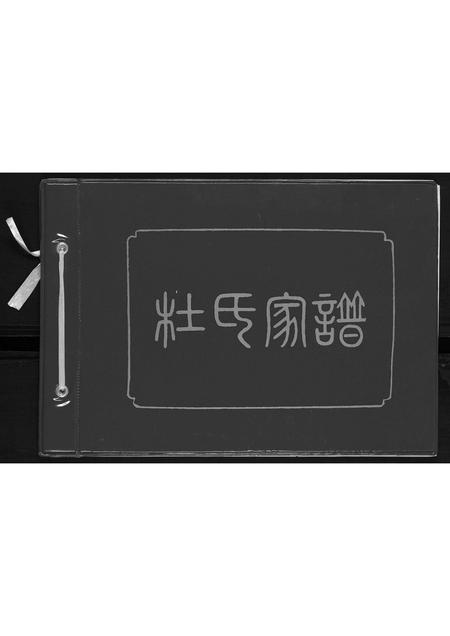 甘肃杜氏-杜氏家谱.pdf电子版插图