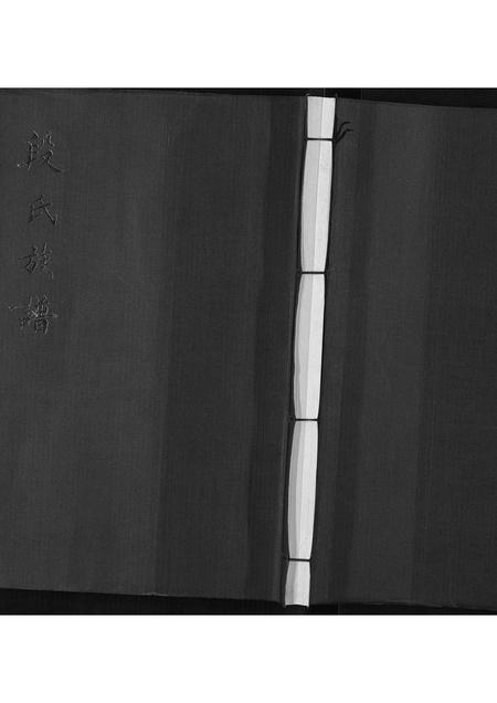 山东段氏-段氏族谱.pdf电子版插图