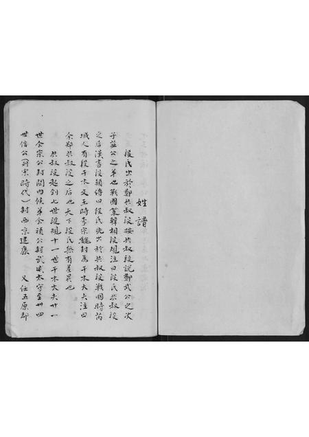 山东段氏-段氏族谱.pdf电子版插图1
