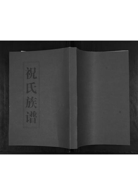 山东祝氏-祝氏族谱.pdf电子版插图