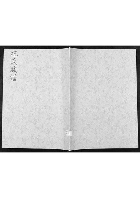 山东祝氏-祝氏族谱[不分卷].pdf电子版插图