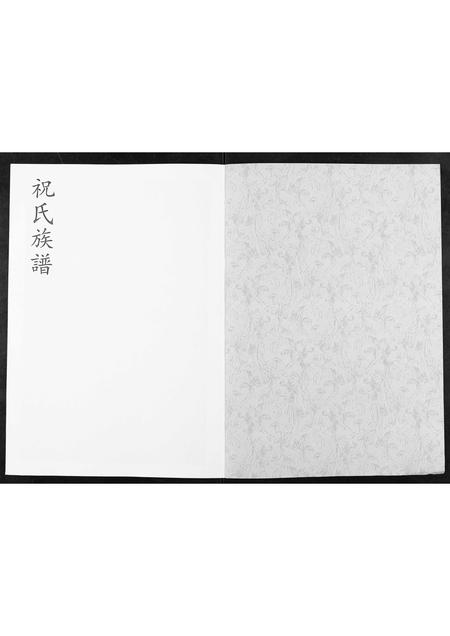 山东祝氏-祝氏族谱[不分卷].pdf电子版插图1