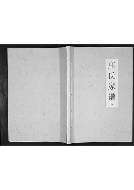 吉林庄氏-庄氏家谱[上下册].pdf电子版插图