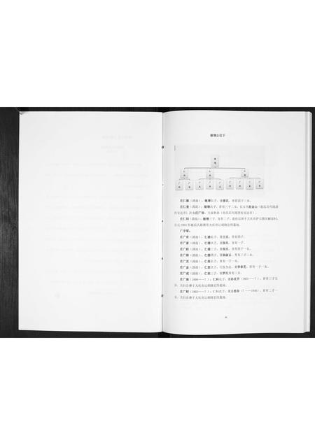 吉林庄氏-庄氏家谱[上下册].pdf电子版插图3