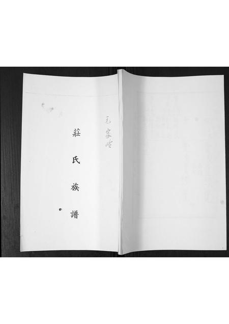山东庄氏-庄氏族谱.pdf电子版插图