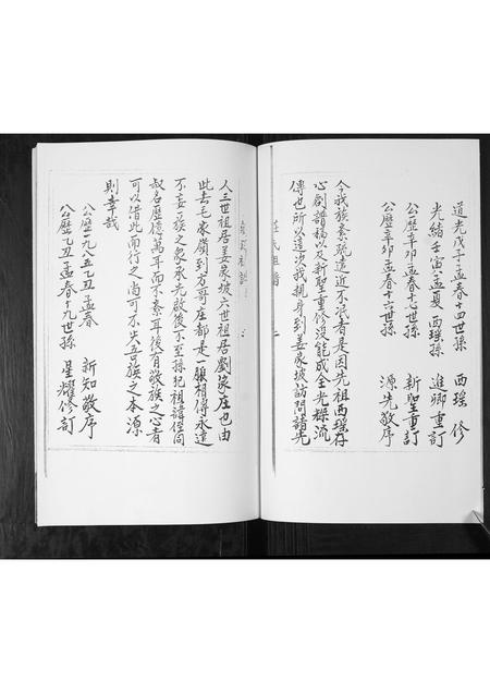 山东庄氏-庄氏族谱.pdf电子版插图3