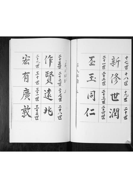 山东庄氏-庄氏族谱.pdf电子版插图4