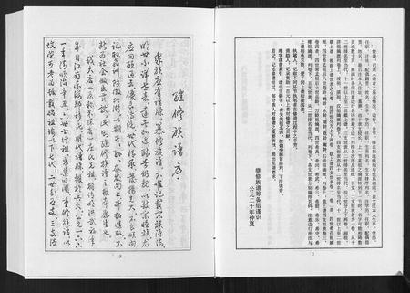 山东庄氏-庄氏族谱[不分卷].pdf电子版插图4