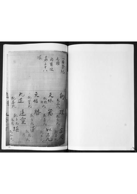 山东宗氏-胶东宗氏家乘.pdf电子版插图4
