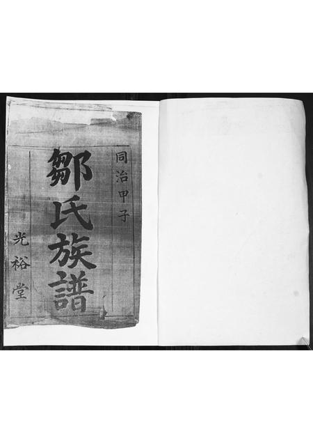 山东邹氏-邹氏族谱.pdf电子版插图1