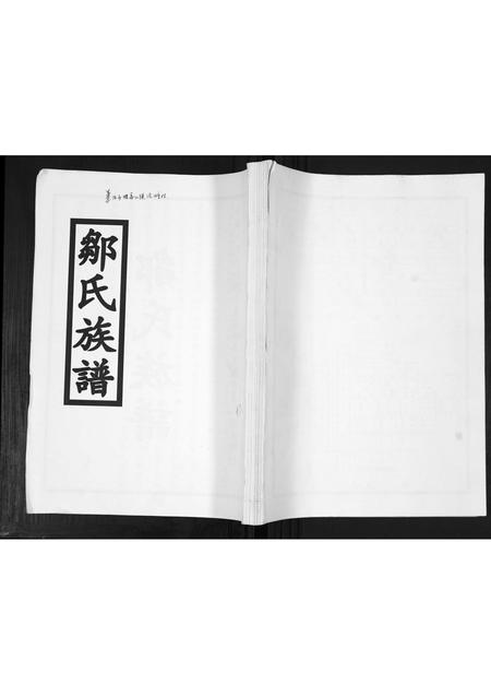 山东邹氏-邹氏族谱[2卷].pdf电子版插图