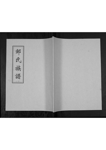 山东邹氏-邹氏族谱[不分卷].pdf电子版插图