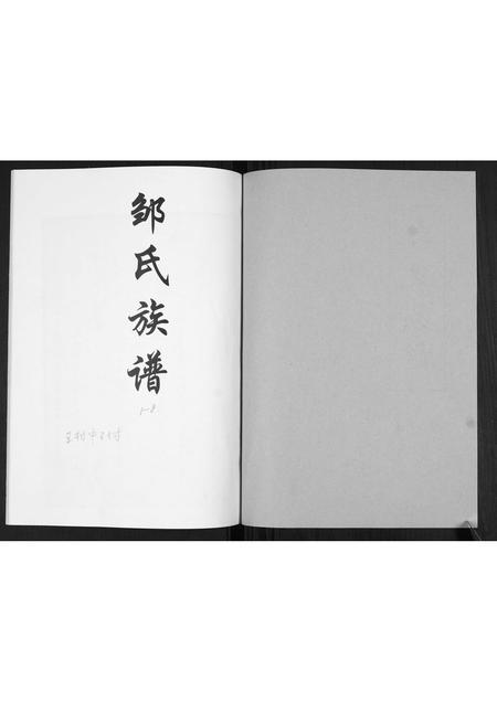山东邹氏-邹氏族谱[不分卷].pdf电子版插图1