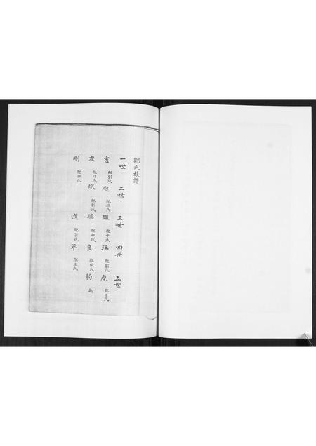 山东邹氏-邹氏族谱[不分卷].pdf电子版插图5