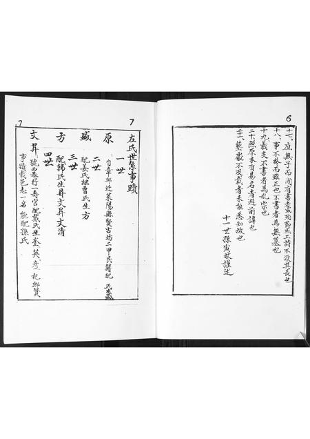 山东左氏-左氏家谱.pdf电子版插图4