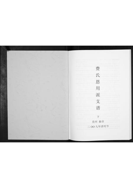 贵州费氏-费氏恩用派支谱[2册].pdf电子版插图1