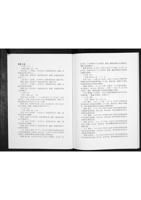 贵州费氏-费氏恩用派支谱[2册].pdf电子版插图2
