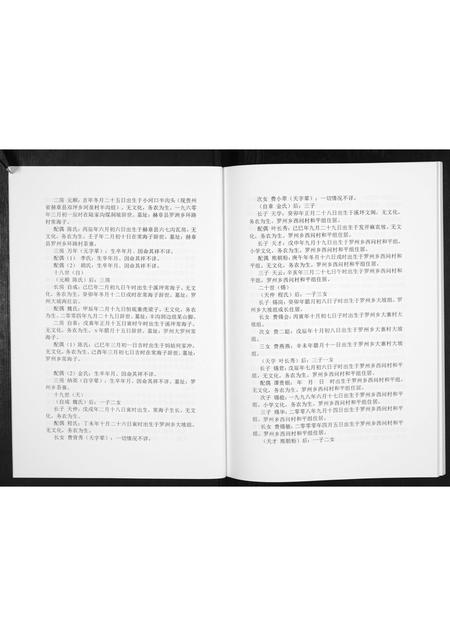 贵州费氏-费氏恩用派支谱[2册].pdf电子版插图4
