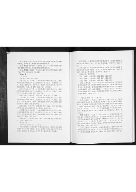 贵州费氏-费氏恩用派支谱[2册].pdf电子版插图5