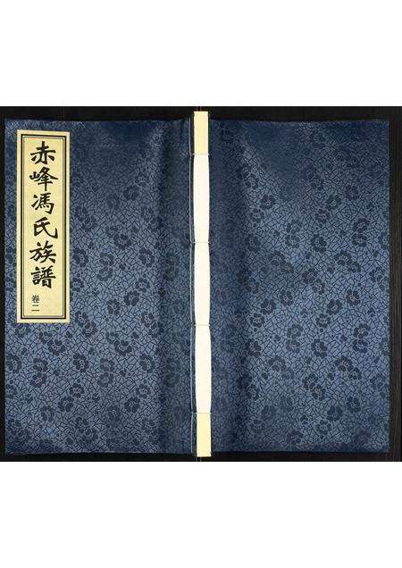 内蒙冯氏-冯氏族谱.pdf电子版插图