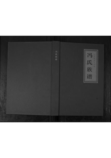 山东冯氏-山东陵县丁家楼冯氏族谱.pdf电子版插图