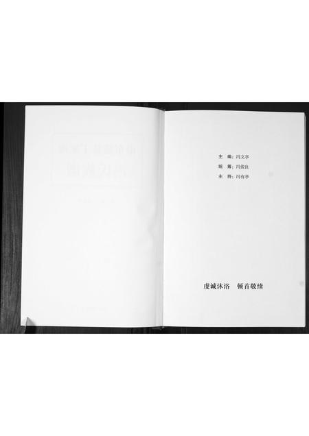 山东冯氏-山东陵县丁家楼冯氏族谱.pdf电子版插图2