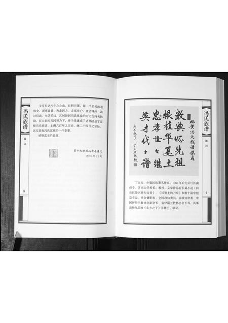山东冯氏-山东陵县丁家楼冯氏族谱.pdf电子版插图5