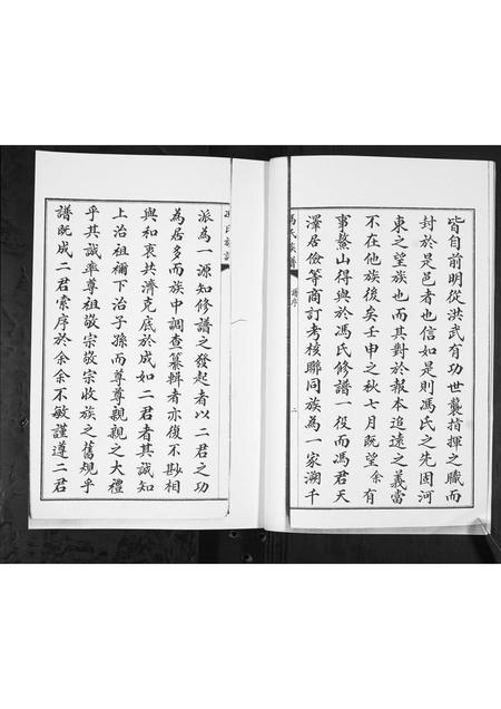 山东冯氏-冯氏族谱.pdf电子版插图2