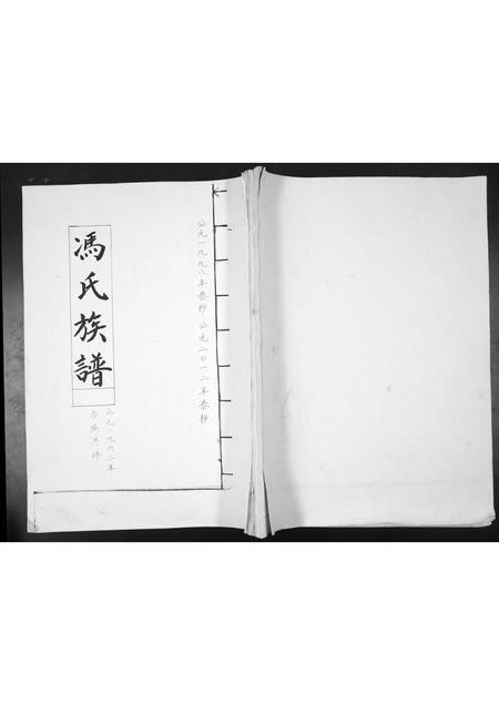 山东冯氏-冯氏族谱.pdf电子版插图