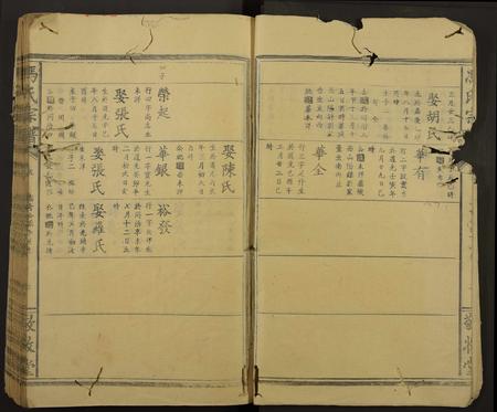 陜西冯氏-冯氏宗谱[残卷](别名：Feng Shi Zong Pu).pdf电子版插图3