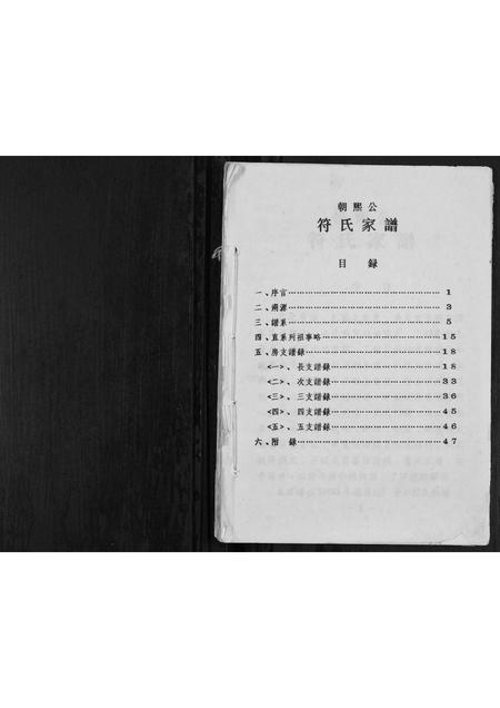 海南符氏-符氏家谱[不分卷].pdf电子版插图1