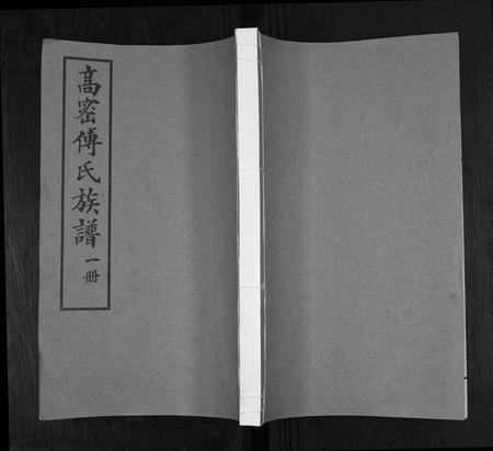 山东傅氏-傅氏族谱.pdf电子版插图