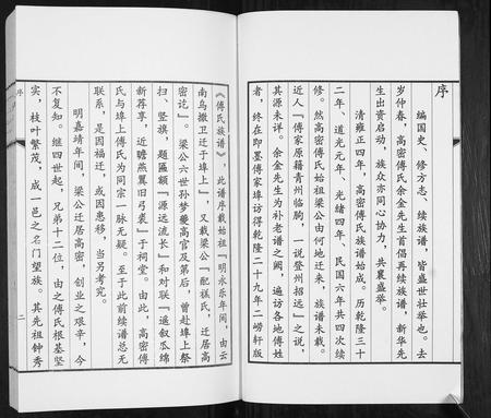 山东傅氏-傅氏族谱.pdf电子版插图2