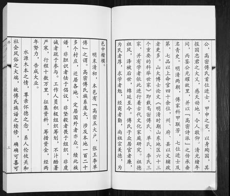 山东傅氏-傅氏族谱.pdf电子版插图3
