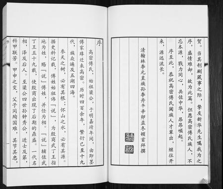 山东傅氏-傅氏族谱.pdf电子版插图4