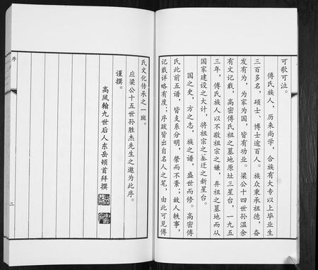 山东傅氏-傅氏族谱.pdf电子版插图5