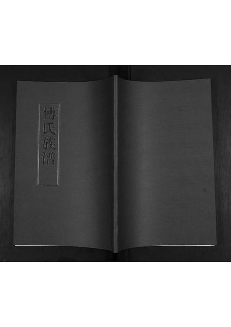 山东傅氏-傅氏族谱.pdf电子版插图