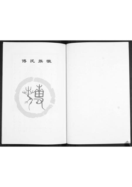 山东傅氏-傅氏族谱.pdf电子版插图2