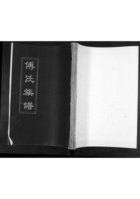 山东傅氏-傅氏族谱.pdf电子版插图