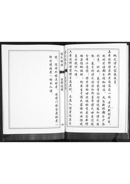 山东傅氏-傅氏族谱.pdf电子版插图5
